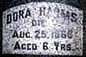 Dora Harms